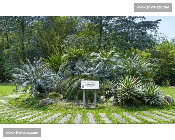 金杯赛非洲独苗:南非 2005 年的跨洋之旅 金杯赛非洲独苗:南非 2005 年的跨洋之旅